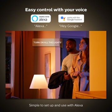 Philips hue go google home 2025